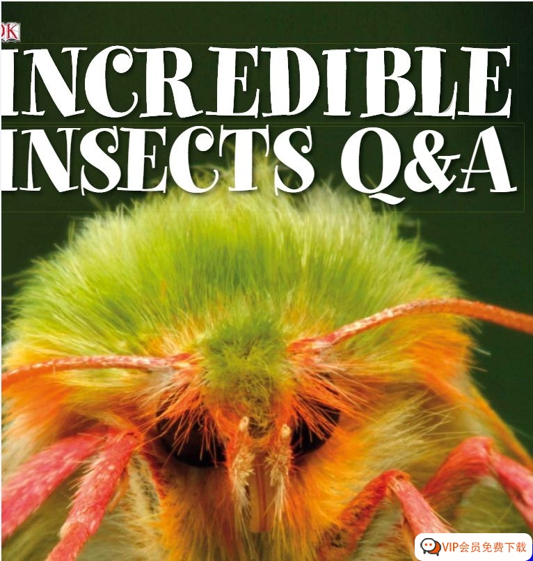 鲜为人熟知的昆虫世界 DK 昆虫世界百科 DK Incredible Insects Q A 高清PDF