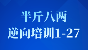 半斤八两逆向培训1-27