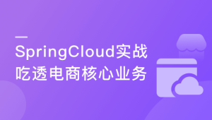 Spring Cloud微服务框架，实战企业级优惠券系统