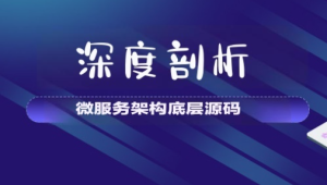 【大厂学苑】深度剖析微服务架构底层源码