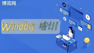 博览网windbg培训.net