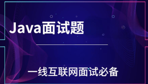 一线互联网Java面试核心点(100万字)