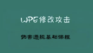 2022WPE修改攻击伤害透视基础课程（小白一定要仔细多看几遍）