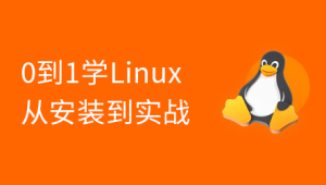 2024版 Linux 0基础手把手（安装部署+项目实战）