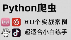 80个通俗易懂的Python爬虫练手项目